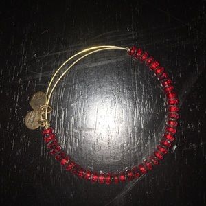 ALEX AND ANI Garnet Stone Bracelet!